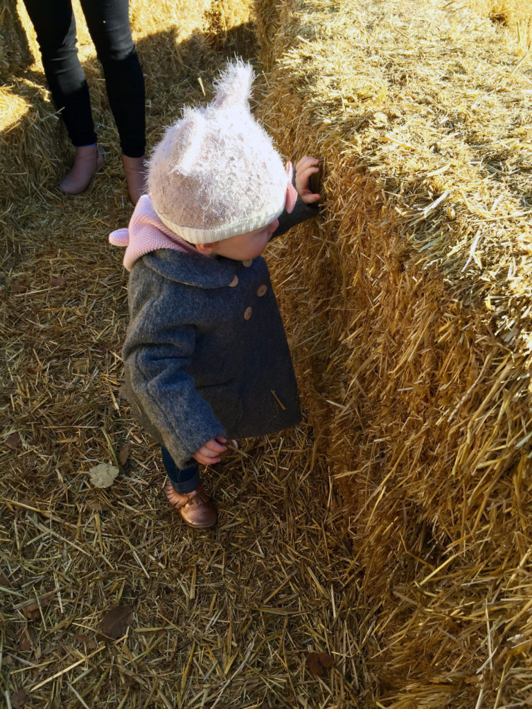 Baby enjoys hay bale maze at the Prairie Gardens & Adventure Farm Haunted Pumpkin Festival