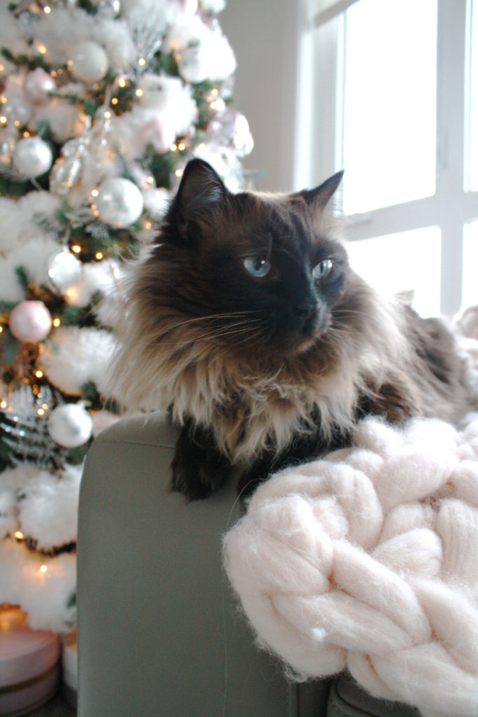 Glam Christmas home decor - cat and Christmas tree