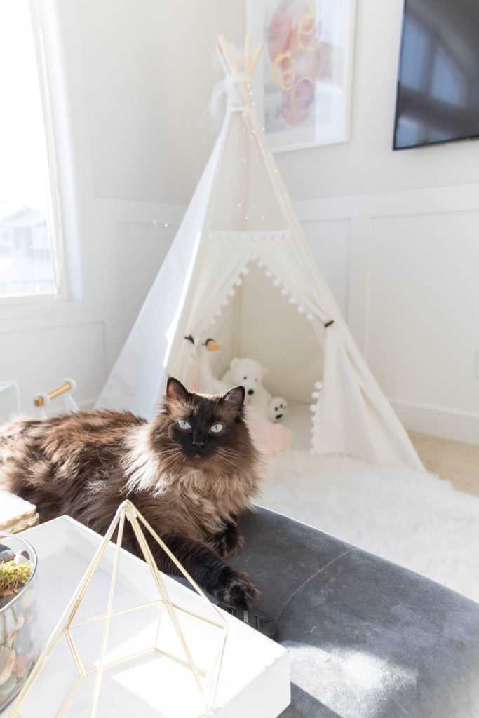 Cat enjoying kid-friendly living room with whimsical white lace teepee