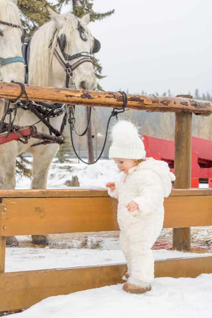 Banff horse drawn sleigh ride - Canmore family trip - Banff family activities 