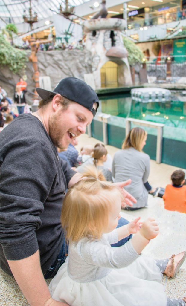 Sea Lion's Rock Show at West Edmonton Mall - Sea Lion Show at WEM is a fun family activity in Edmonton - Indoor Family Activities in Edmonton 