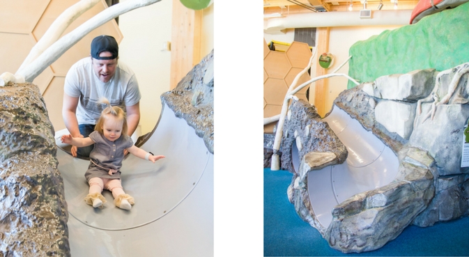 Slide at John Janzen Nature Centre Tegler Discovery Zone - Indoor Family Activities in Edmonton