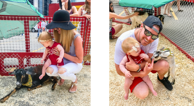 Canada Day petting zoo at Calgary's Eau Claire market - Travel Tips for Calgary, Alberta 