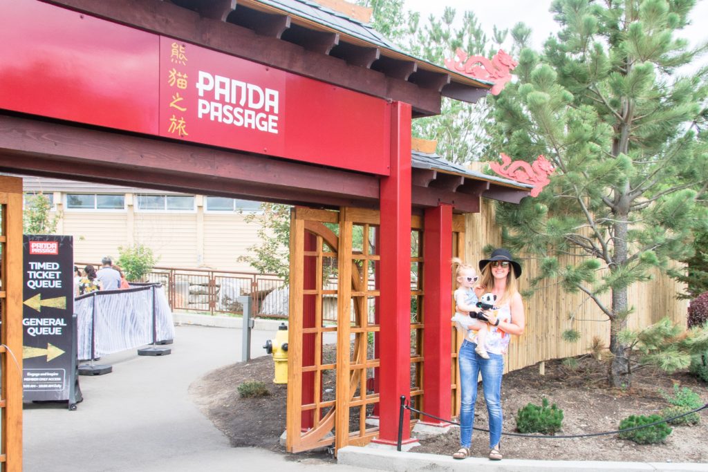 Panda Passage exhibit at the Calgary Zoo - Travel Tips for Calgary, Alberta 