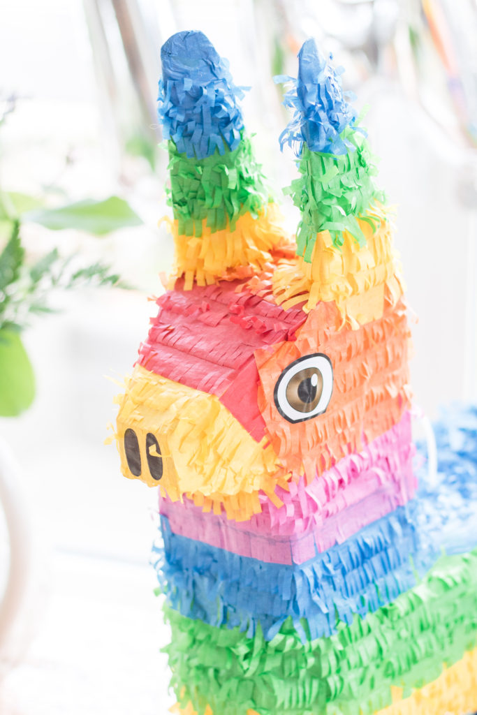 Fiesta Birthday Party pinata - Fiesta party decorations - Fiesta party ideas - Donkey piñata