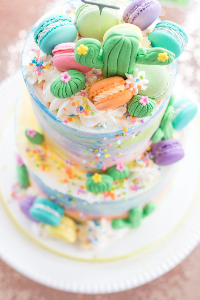 Cactus and macaron girls birthday cake - Cactus cake - Fiesta cake - Macaron cake - Girls birthday cake ideas