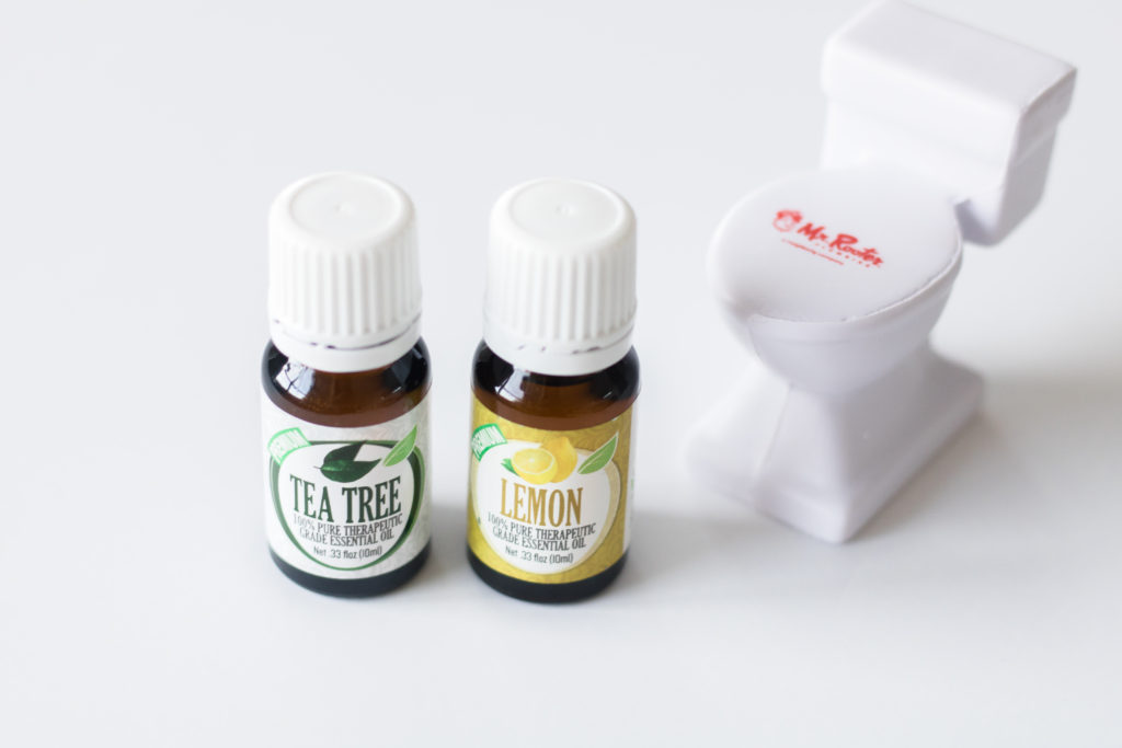 Using essential oils to keep your toilet clean - Winter plumbing tips and tricks: I'm sharing winter plumbing tips and tricks to keep your drains, toilets and garburators in order, and info on how to unclog them and prevent future issues.