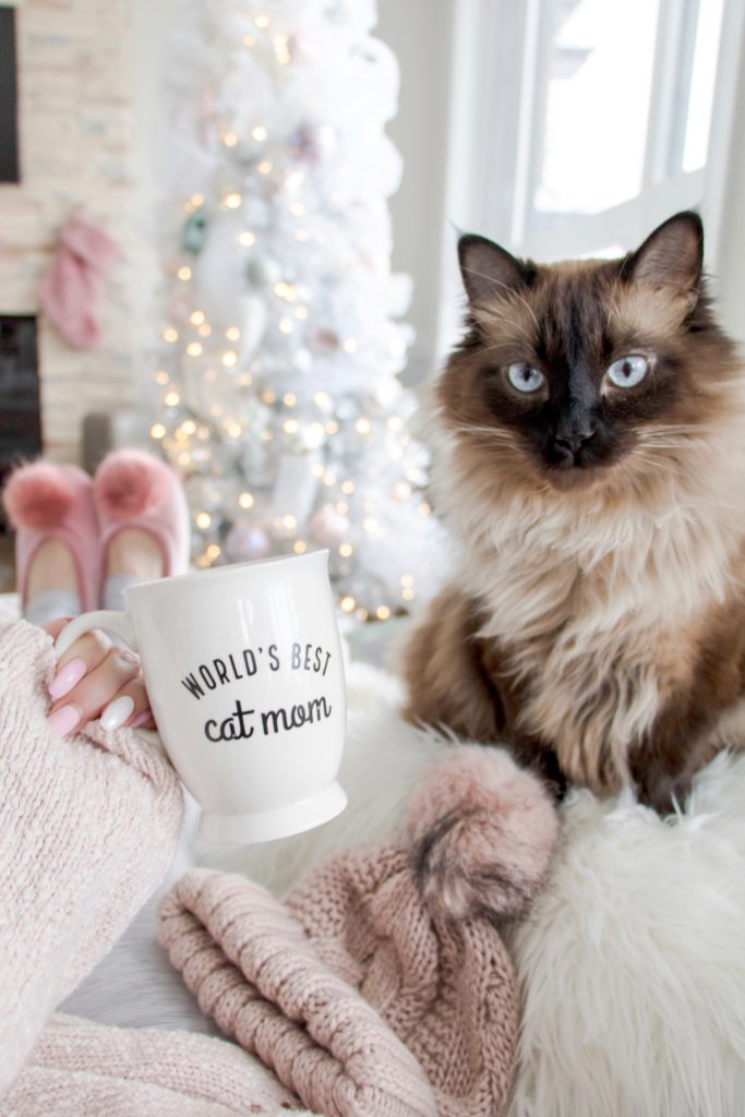Worlds best cat Mom mug with rag doll cat at Christmastime - Christmas gift ideas for cat lovers