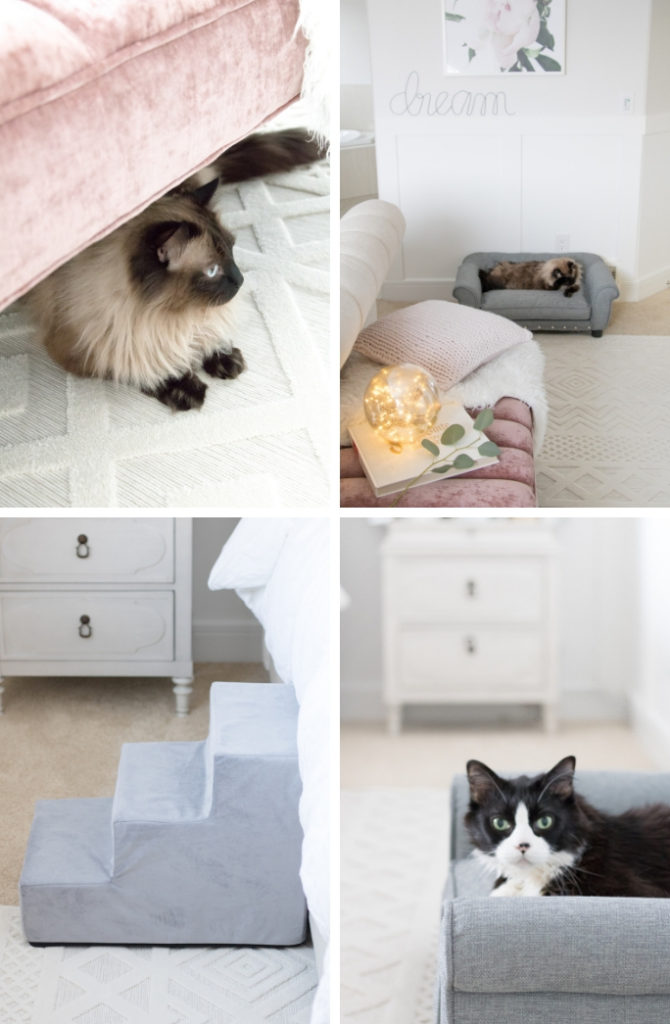 Adorable pet steps and and tufted pet sofa make our luxurious master bedroom a favourite spot for our cats