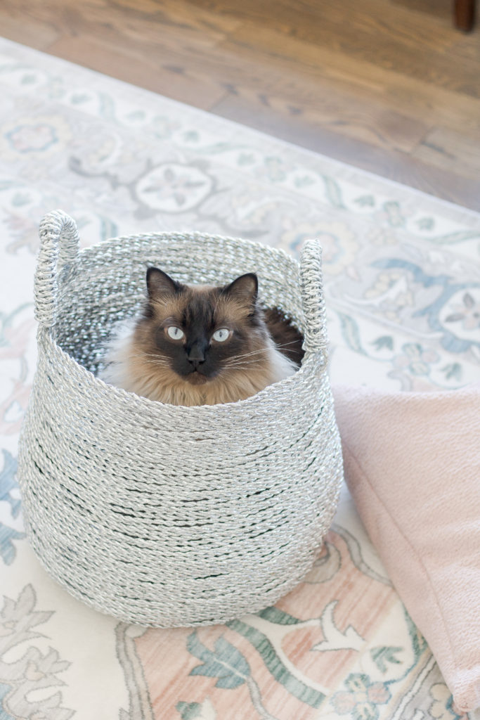 Ragdoll cat in a silver storage bin with a pastel rug and blush pink pillow: Pastel Living Room Decor