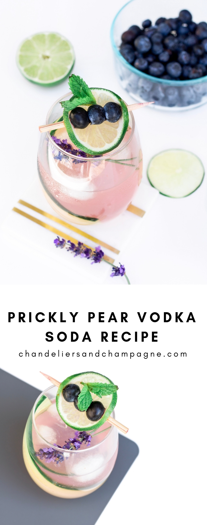 Prickly Pear Vodka Soda Drink Recipe: drink with blueberries, prickly pear, lime and lavender