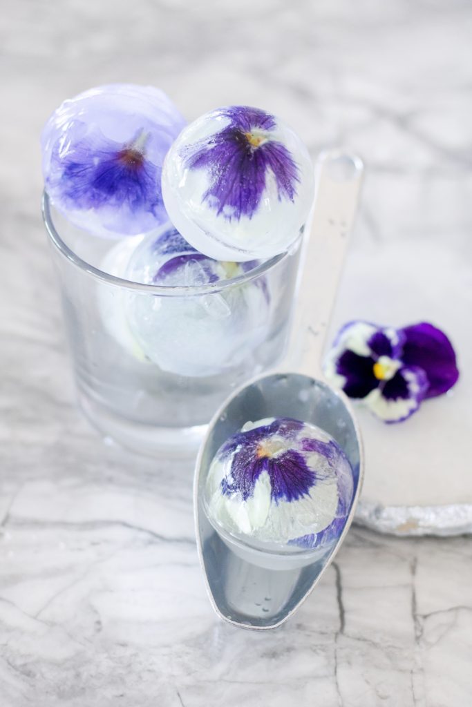 Ice cubes with purple frozen pansies