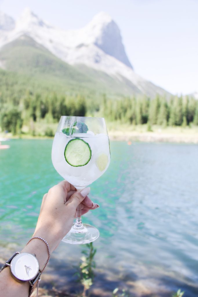 Closeup of Hendrick's Elderflower Gin and Tonic in glass with mountains and lake in the background