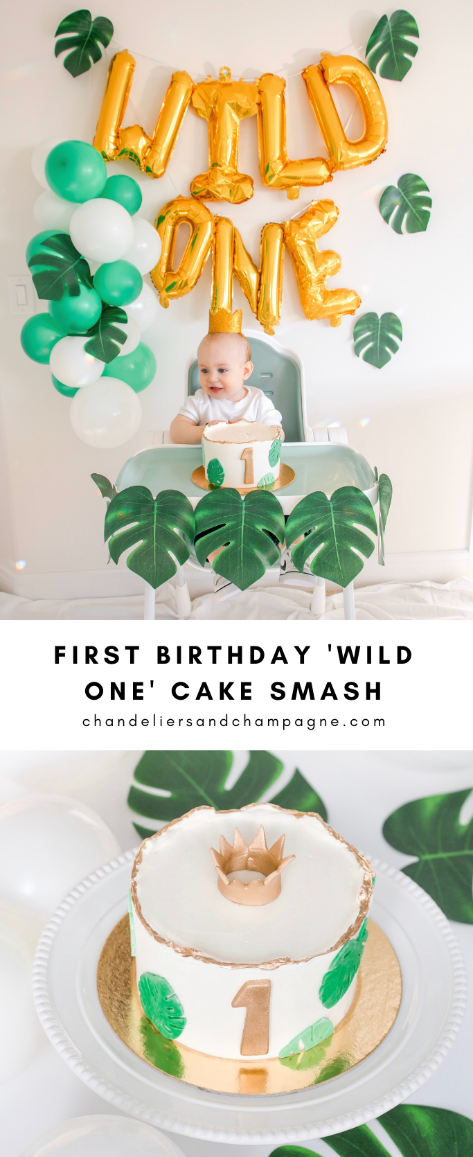 First birthday Wild ONE cake smash