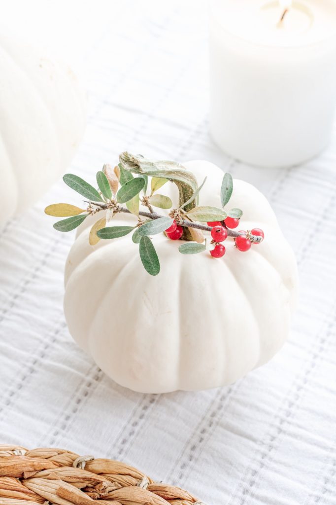 White pumpkin and fall berry closeup