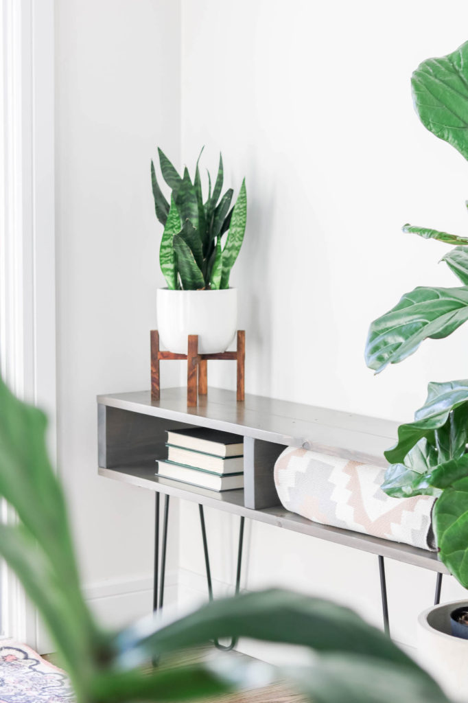 Front foyer bench with snake plant and fiddle leaf fig
