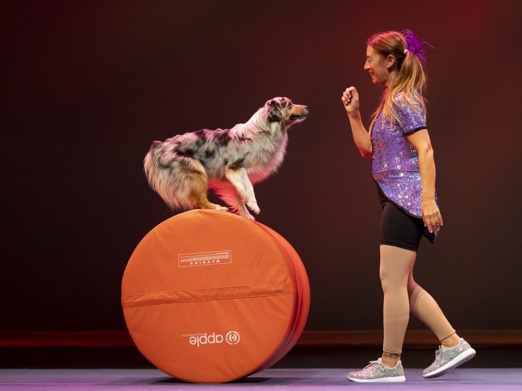 Firefly Theatre & Circus Dogs Act