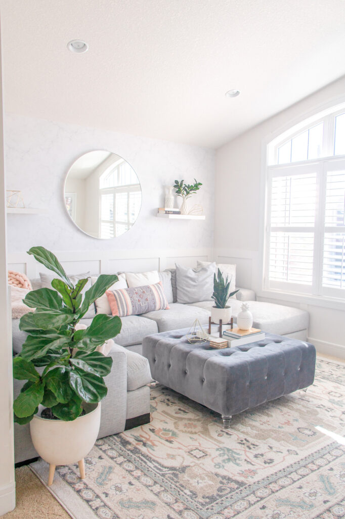Sofa Land light and bright living room with grey sectional and fiddle leaf fig